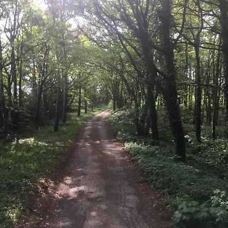 Hookcar Hill